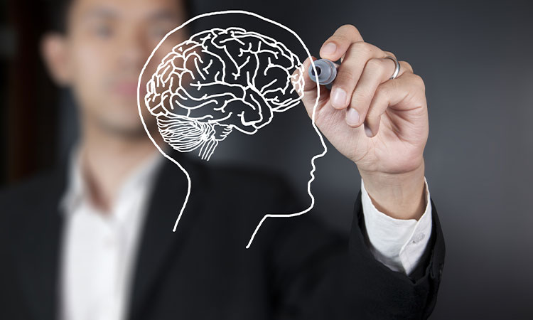 Bilinalt Koluu Nedir?